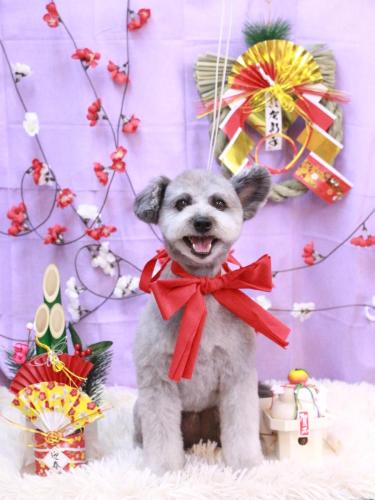 20230121シルヴァくん